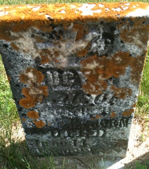 SILVERTHORN, LUCY P. - Muscatine County, Iowa | LUCY P. SILVERTHORN 