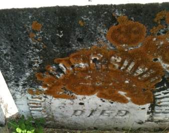 SILVERTHORN, WILLIAMSON G. - Muscatine County, Iowa | WILLIAMSON G. SILVERTHORN 