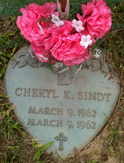 SINDT, CHERYL K. - Muscatine County, Iowa | CHERYL K. SINDT 