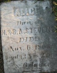 STEVENS, ALICE - Muscatine County, Iowa | ALICE STEVENS 