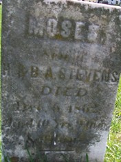 STEVENS, MOSES - Muscatine County, Iowa | MOSES STEVENS 
