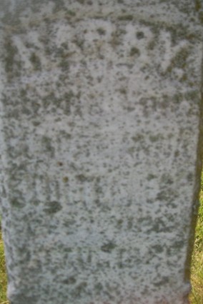 STOLTENBERG, HARRY - Muscatine County, Iowa | HARRY STOLTENBERG 