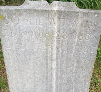 TAYLOR, CHARLIE A. - Muscatine County, Iowa | CHARLIE A. TAYLOR 