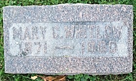 WHITLOW, MARY CHARLOTTE - Muscatine County, Iowa | MARY CHARLOTTE WHITLOW 