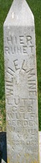 WULF LUTT, WILHELMINE - Muscatine County, Iowa | WILHELMINE WULF LUTT 