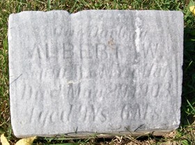 ZETLER, ALBERT WALTER - Muscatine County, Iowa | ALBERT WALTER ZETLER 