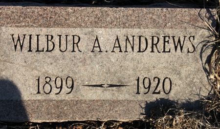 ANDREWS, WILBUR A - Page County, Iowa | WILBUR A ANDREWS 