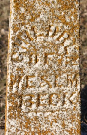 BECK, LEWIS OREN - Page County, Iowa | LEWIS OREN BECK 