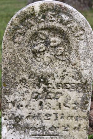 BEERY, EVALENA H - Page County, Iowa | EVALENA H BEERY 