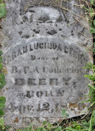 BEERY, SARAH LUCINDA - Page County, Iowa | SARAH LUCINDA BEERY 