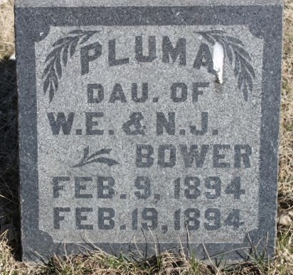 BOWER, PLUMA - Page County, Iowa | PLUMA BOWER 