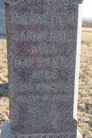 CARMICHAEL, ANTOINETTE - Page County, Iowa | ANTOINETTE CARMICHAEL 