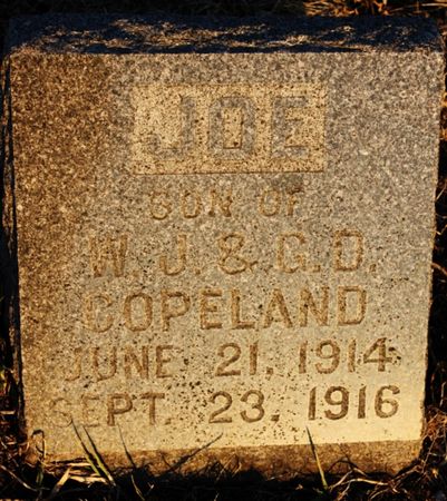 COPELAND, JOE - Page County, Iowa | JOE COPELAND 