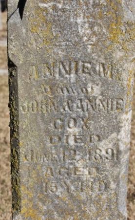 COX, ANNIE M. - Page County, Iowa | ANNIE M. COX 