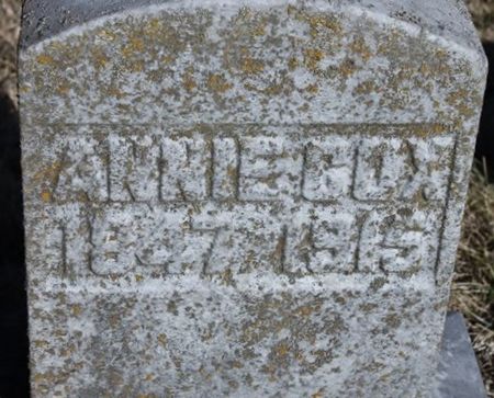 COX, ANNIE - Page County, Iowa | ANNIE COX 