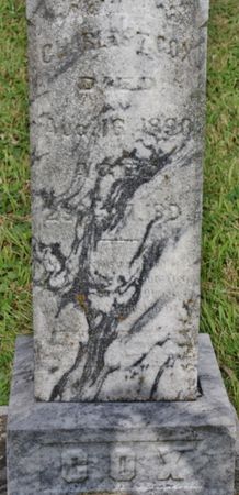 COX, CHARLES T - Page County, Iowa | CHARLES T COX 