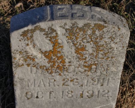 DAVIDSON, JESS - Page County, Iowa | JESS DAVIDSON 