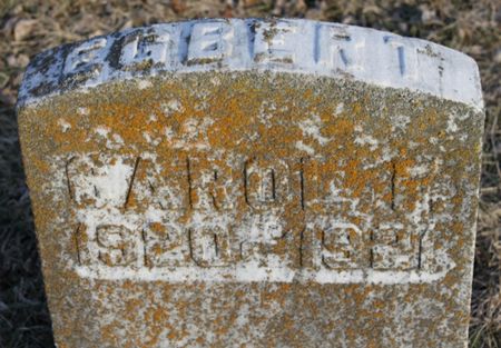 EGBERT, CAROL F. - Page County, Iowa | CAROL F. EGBERT 