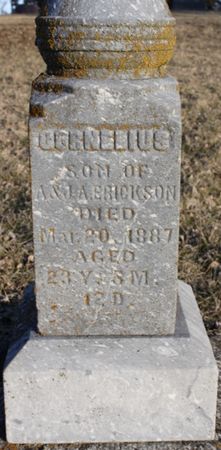ERICKSON, CORNELIUS - Page County, Iowa | CORNELIUS ERICKSON 