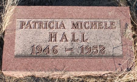 HALL, PATRICIA MICHELE - Page County, Iowa | PATRICIA MICHELE HALL 