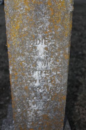 KNITTLE, MAUDIE M. - Page County, Iowa | MAUDIE M. KNITTLE 