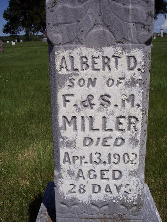 MILLER, ALBERT D. - Page County, Iowa | ALBERT D. MILLER 