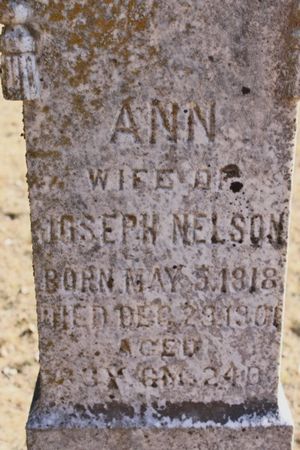 MCCLURE NELSON, ANN - Page County, Iowa | ANN MCCLURE NELSON 