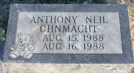 OHNMACHT, ANTHONY NEIL - Page County, Iowa | ANTHONY NEIL OHNMACHT 