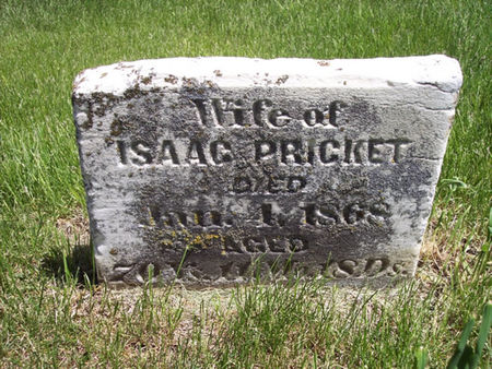 PRICKET, HANNAH - Page County, Iowa | HANNAH PRICKET 