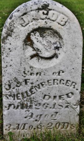 SHELLENBERGER, JACOB - Page County, Iowa | JACOB SHELLENBERGER 