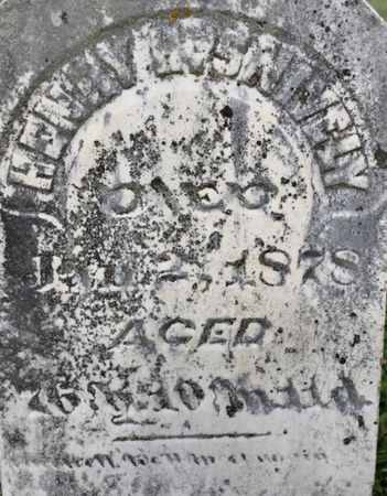 SNIVELY, HENRY H - Page County, Iowa | HENRY H SNIVELY 