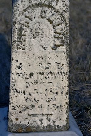 WALKINSHAW, HENRY CALVIN - Page County, Iowa | HENRY CALVIN WALKINSHAW 