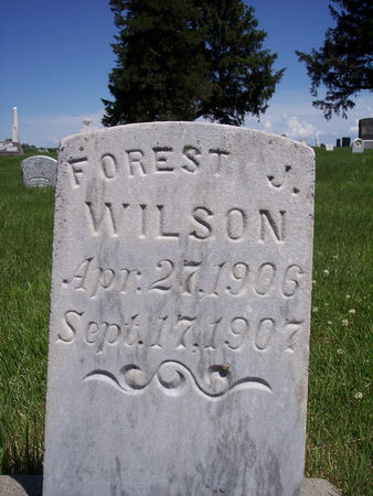 WILSON, FOREST J. - Page County, Iowa | FOREST J. WILSON 