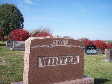 WINTER, FAMILY STONE - Page County, Iowa | FAMILY STONE WINTER 