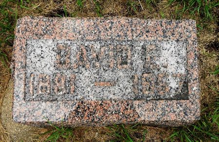 BRODIGAN, DAVID EDWARD - Palo Alto County, Iowa | DAVID EDWARD BRODIGAN 