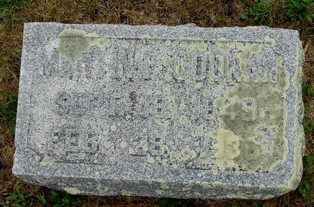 COONAN, MARTIN FRANCIS - Palo Alto County, Iowa | MARTIN FRANCIS COONAN 