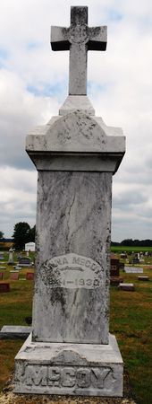 DEVINE MCCOY, ANNA - Palo Alto County, Iowa | ANNA DEVINE MCCOY 