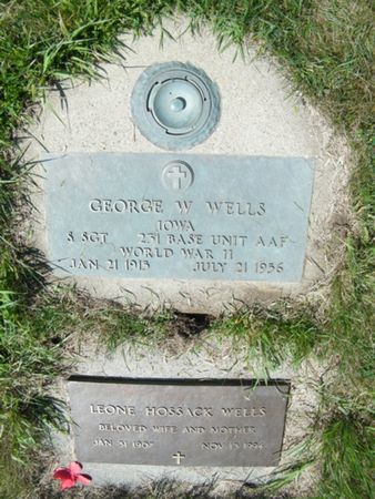 WELLS, GEORGE WILLIAM - Palo Alto County, Iowa | GEORGE WILLIAM WELLS 