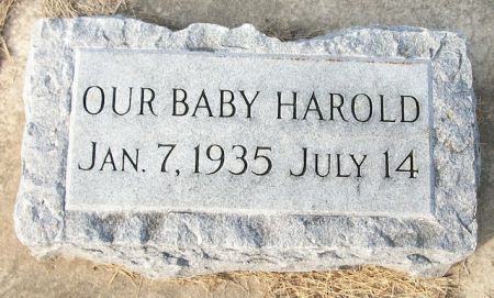 MCCORKELL, HAROLD - Plymouth County, Iowa | HAROLD MCCORKELL 