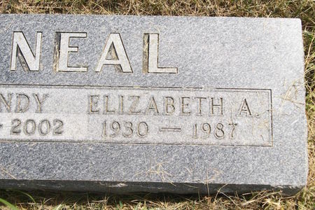 NEAL, ELIZABETH A. - Plymouth County, Iowa | ELIZABETH A. NEAL 
