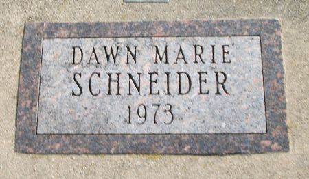 SCHNEIDER, DAWN MARIE - Plymouth County, Iowa | DAWN MARIE SCHNEIDER 