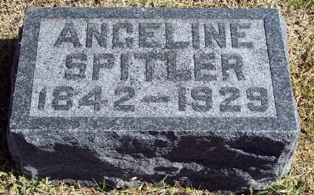 SPITLER BRADSHAW, ANGELINE - Pocahontas County, Iowa | ANGELINE SPITLER BRADSHAW 