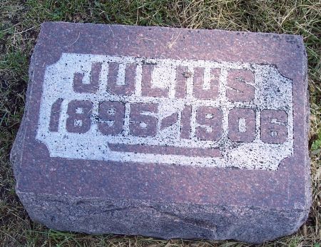 LADD, JULIUS - Pocahontas County, Iowa | JULIUS LADD 