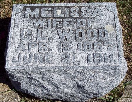 WOOD, MELISSA - Pocahontas County, Iowa | MELISSA WOOD 