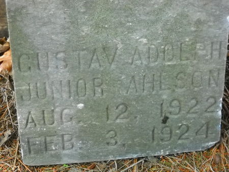 AHLSON, GUSTAV ADOLPH JR. - Polk County, Iowa | GUSTAV ADOLPH JR. AHLSON 