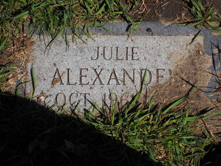ALEXANDER, JULIE - Polk County, Iowa | JULIE ALEXANDER 