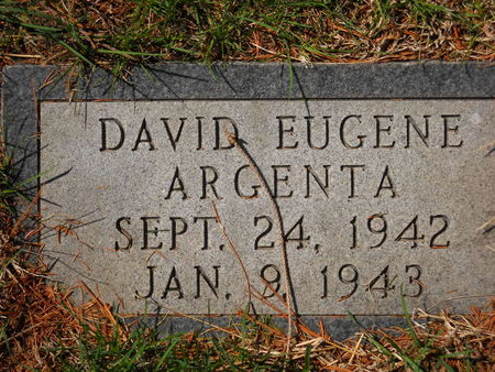 ARGENTA, DAVID EUGENE - Polk County, Iowa | DAVID EUGENE ARGENTA 