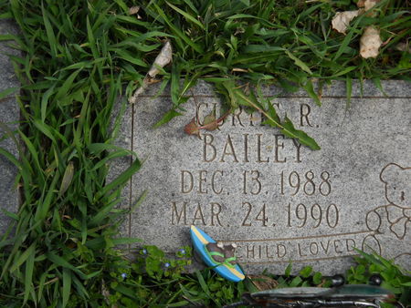 BAILEY, CURTIS R. - Polk County, Iowa | CURTIS R. BAILEY 