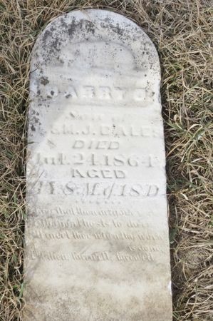 BALES, HARRY G. - Polk County, Iowa | HARRY G. BALES 