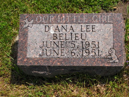 BELIEU, DIANA LEE - Polk County, Iowa | DIANA LEE BELIEU 